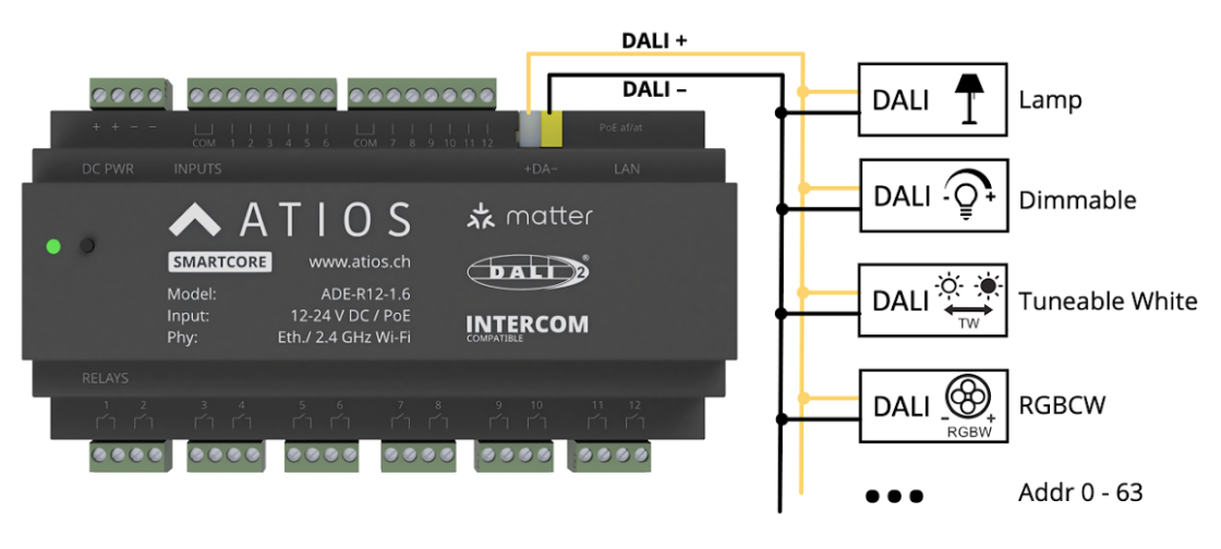 SmartCore DALI-Bus Anschlussdiagramm